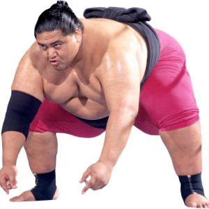 Sumo PNG