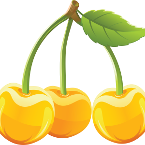 cherry PNG image