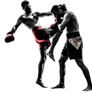 Mixed martial arts PNG, MMA PNG