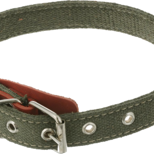 Dog collar PNG