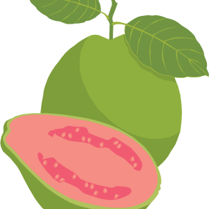 Guava PNG