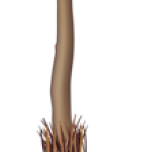 Broom PNG