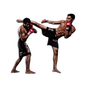Muay Thai PNG