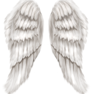 Wings PNG