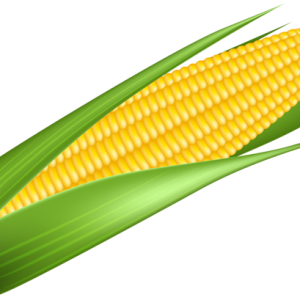 Corn PNG