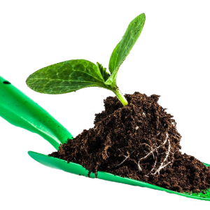 Soil PNG