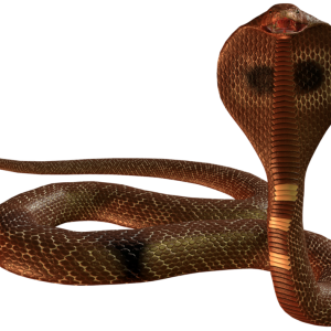 Cobra PNG