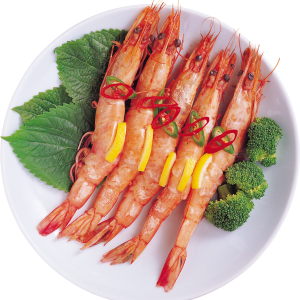 Shrimps PNG image