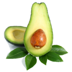 Avocado PNG