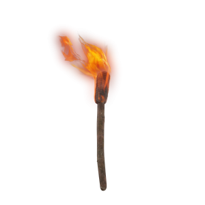 Torch PNG