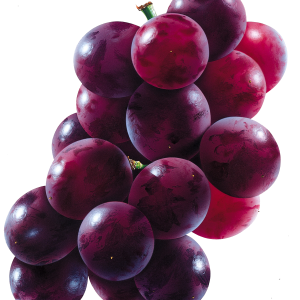 Red grape PNG image