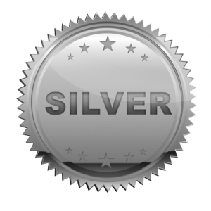Silver PNG