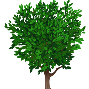 tree PNG