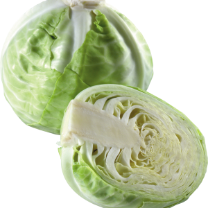 Cabbage PNG image