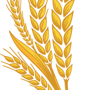Wheat PNG