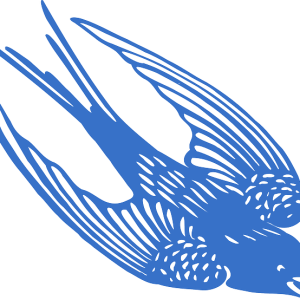 Swallow PNG