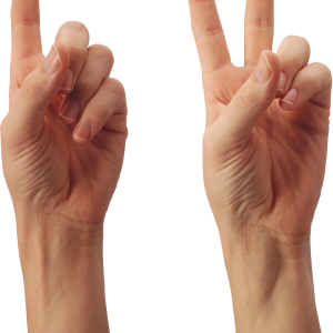 hand PNG
