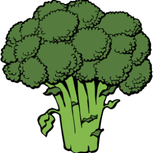 Broccoli PNG