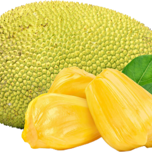 Jackfruit PNG