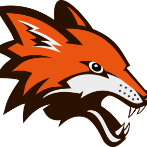 Fox PNG