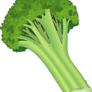 Broccoli PNG
