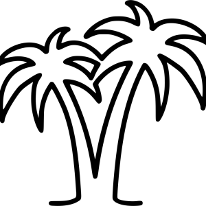 Palm tree PNG