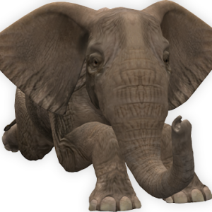 Elephant PNG