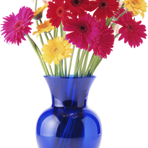 Vase PNG