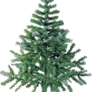 Christmas tree PNG