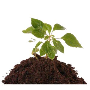 Soil PNG