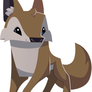 Jackal, coyote PNG