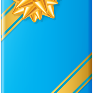 Gift box PNG