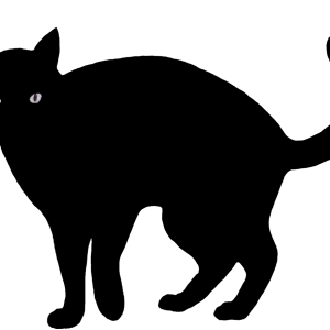 Black big cat PNG