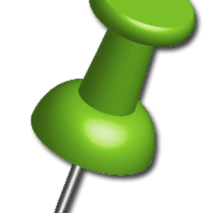 Pin PNG