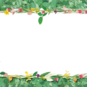 Floral frame PNG