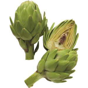 Artichoke PNG