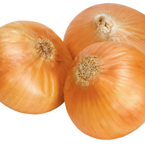 Onion PNG image, free download picture