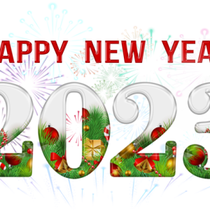 2023 year PNG
