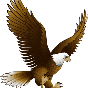 Eagle PNG image with transparency, free download