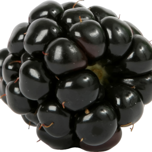 Blackberry PNG
