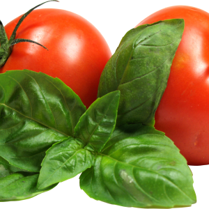 Tomatoes with leaves PNG image