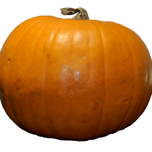 Pumpkin PNG