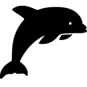 Dolphin PNG