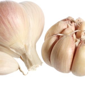 Garlic PNG
