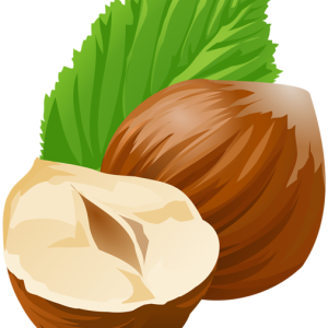hazelnut PNG
