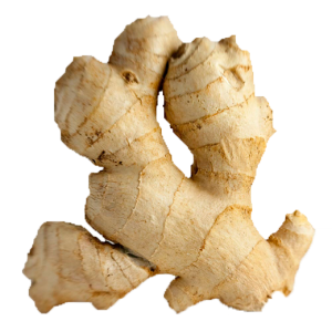 Ginger PNG