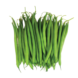 Green bean PNG