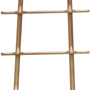 Ladder PNG