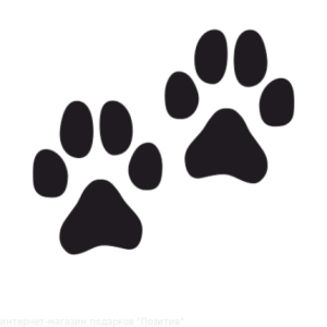 Paw PNG