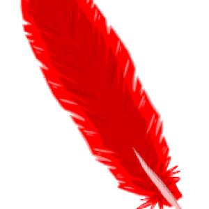 red feather PNG